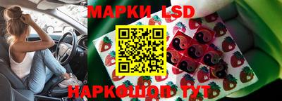 мдпв Краснодар