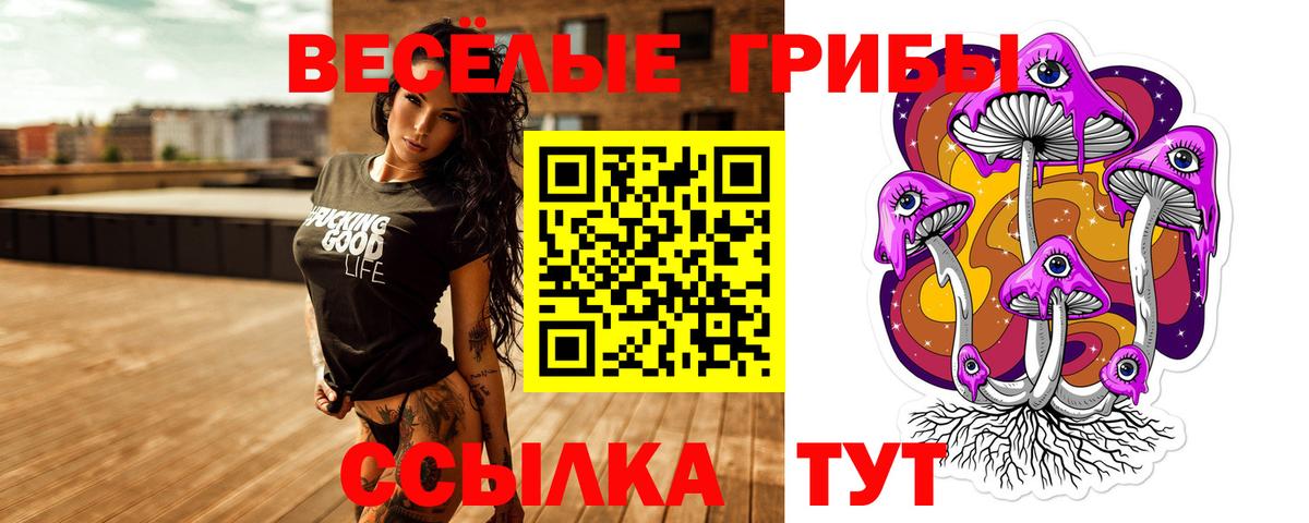 Галлюциногенные грибы Psilocybe Изобильный