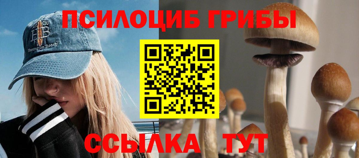 Изобильный  Псилоцибиновые грибы Cubensis  наркошоп  Вход с VPN 